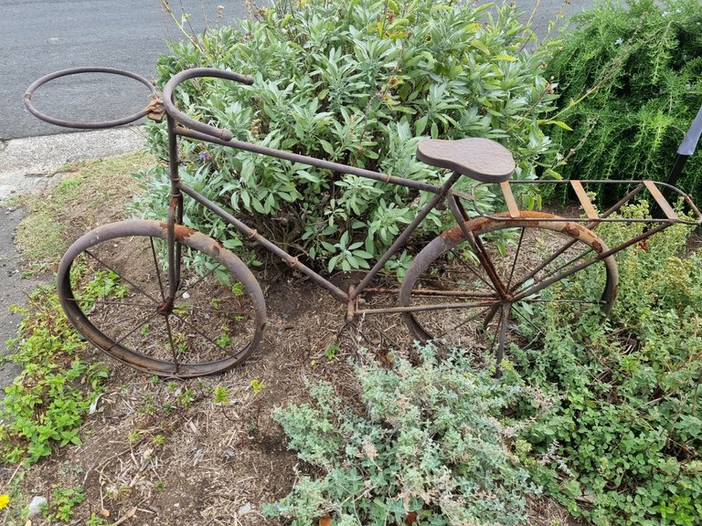 Interesting garden feature.