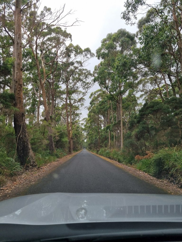 Just love these quite back country roads.