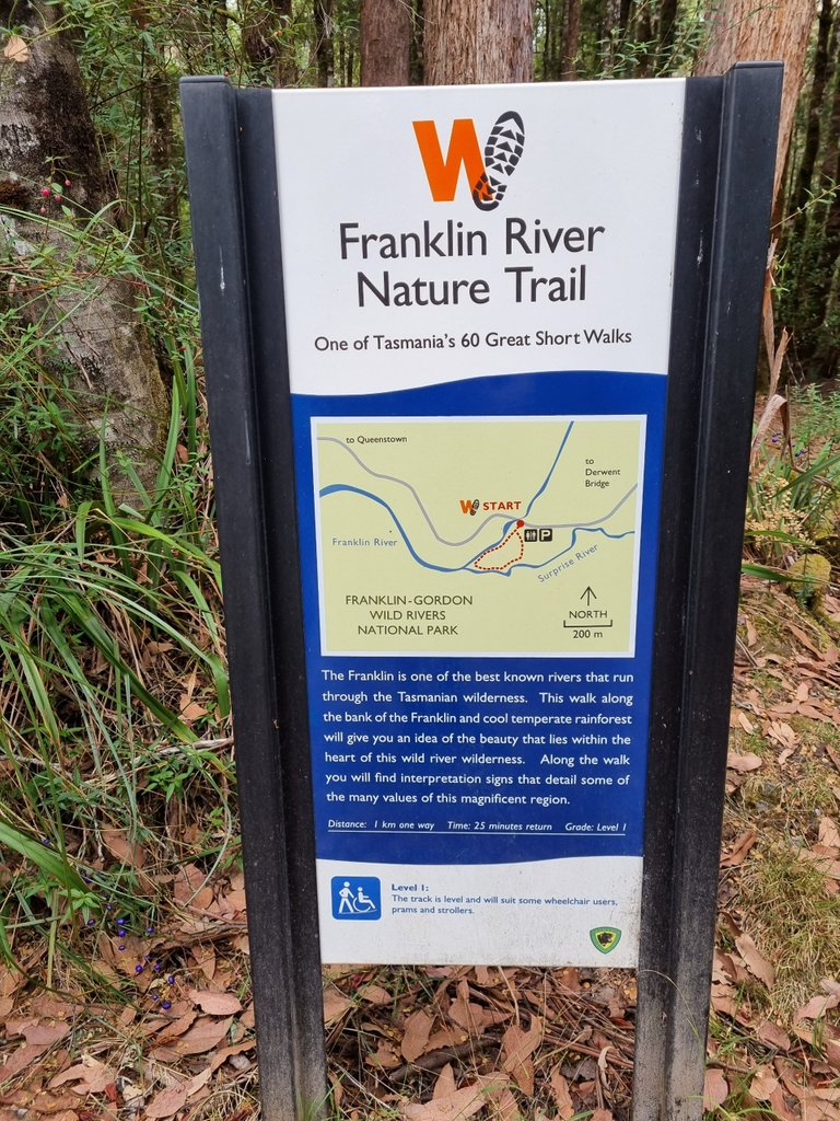 This was one of the shortest walks we have done but it was so good to get a glimpse of the Franklin River without have to travel miles up a dirt road or hike for days. They have done so well making this area easily accessible.