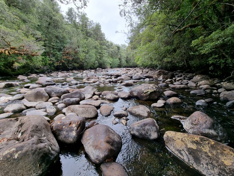 The Famous Franklin River