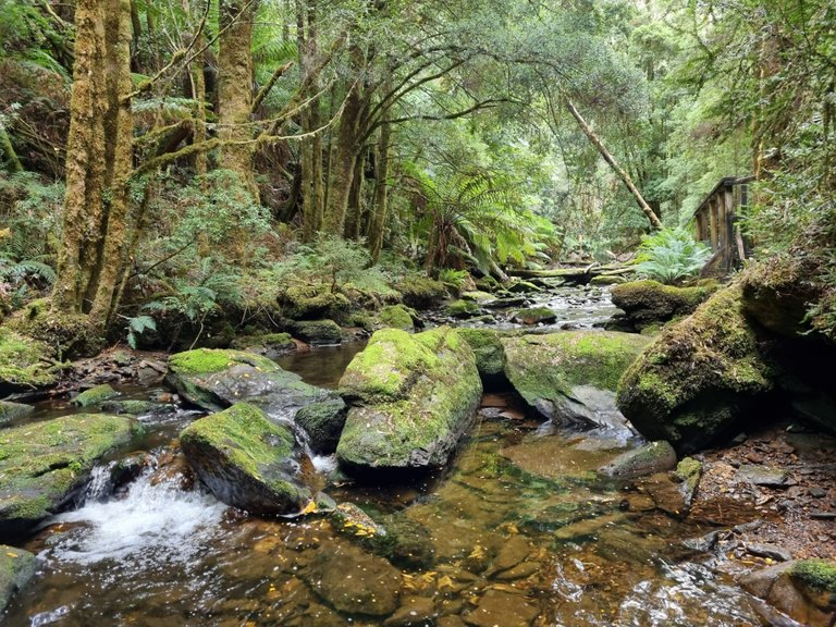 It would have been great to have more time and explore further along the Nelson River in the Nelson Valley.