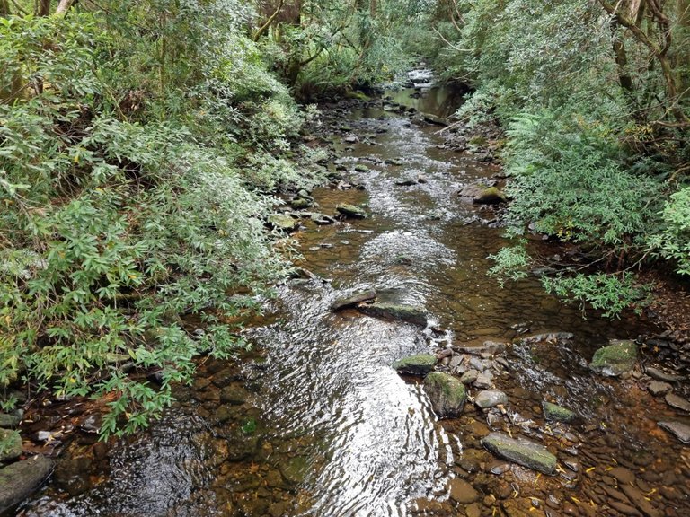 Well that’s the last of our recent Tasmanian trip, we loved every minute and would definitely come back again. 10 days was never going to be enough to see everything on this wonder Island. The weather was kind to us and it was great to be travelling again in these covid restricted times.