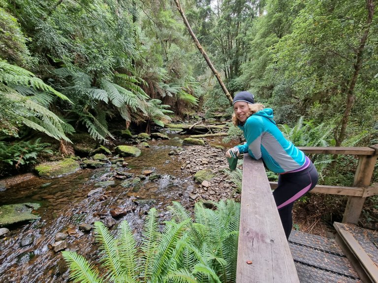 So we decide the Nelson Falls track would have to just be a quick toilet stop mand a 5 minute stretch of the legs. It’s got to be one of the best short stops we have ever done.