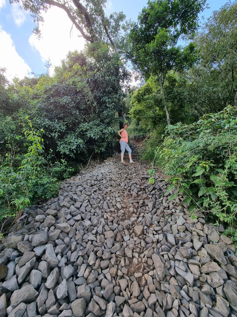 Lots of Weeds and Volcanic Rock on this walk, we were not really sure if this rock had been placed on the track to stop erosion or naturally fell from above.