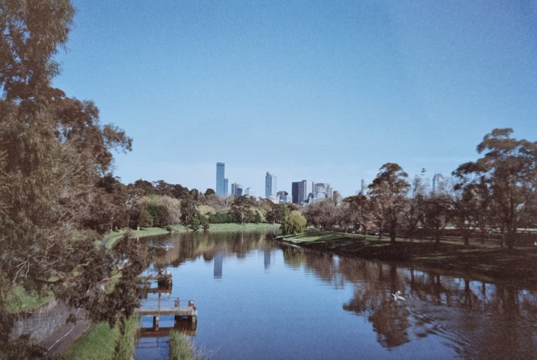 From the Yarra River looking towards the CBD.