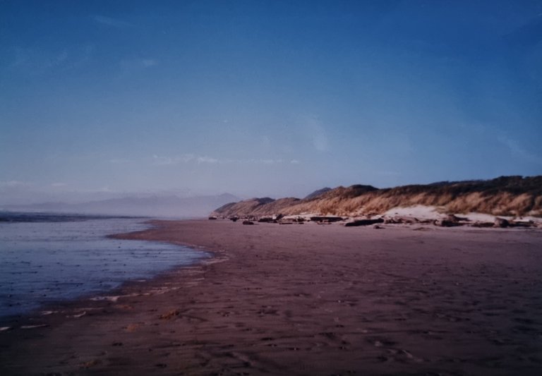 Ocean Beach, near Strahan