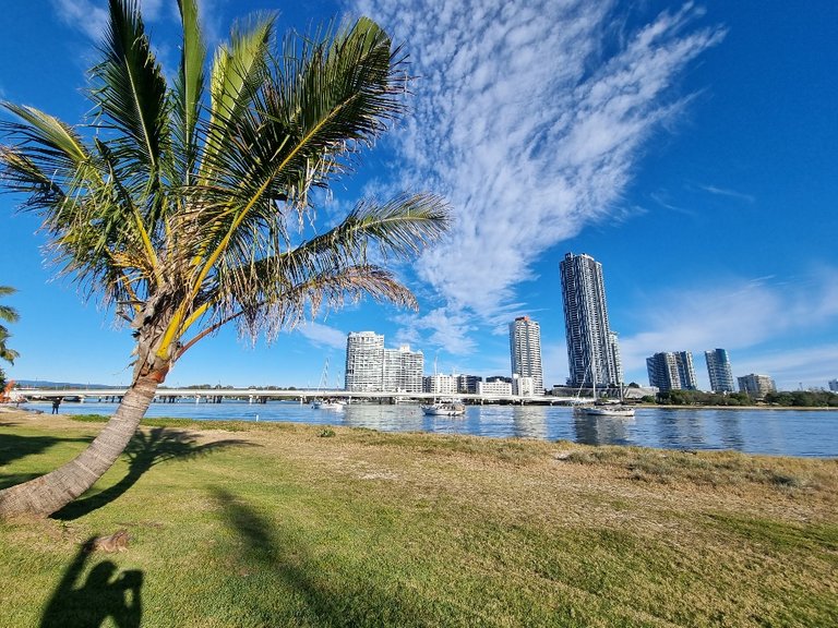 Looking back across the Nerang River to Broadwater parklands