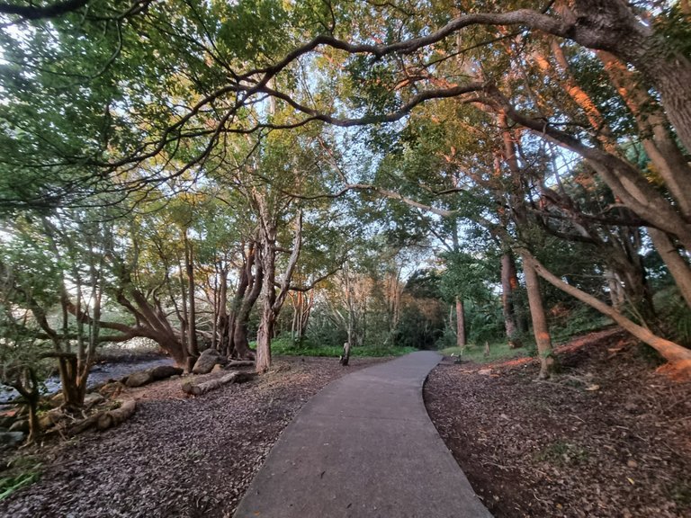 The coastal fitness pathway