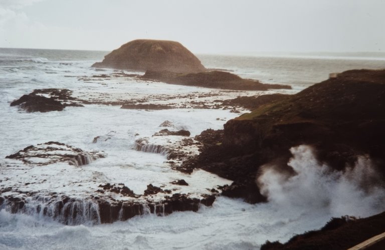 Some where in Wilsons Promontory, I wish I had written some details on every photo.