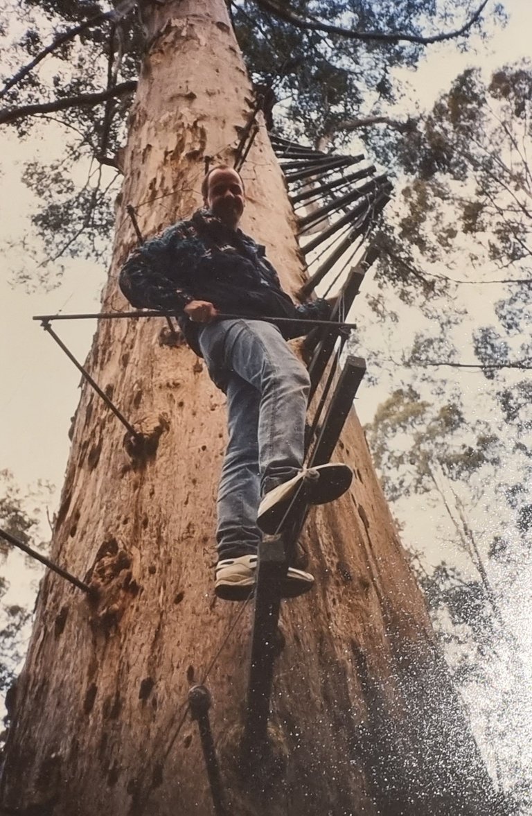 There was a couple of old tall fire look out trees around Pemberton you could climb. I think this one was the Gloucester Tree, A 58m high karri tree. It was a bit nerve racking but we made it too the top, Luckily I don’t remember having to pass anyone going in the other direction.