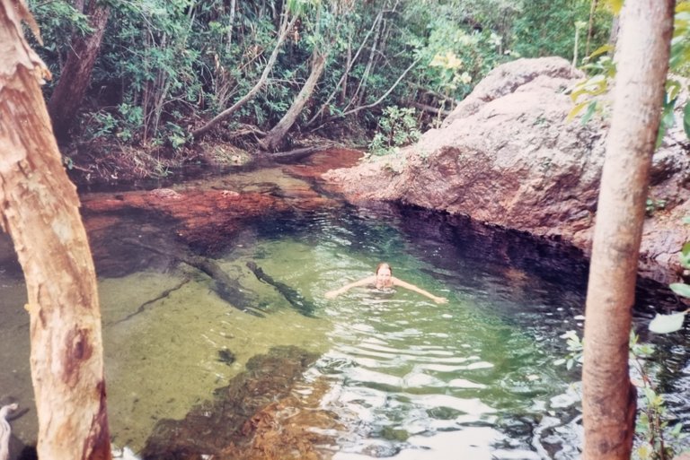 Mataranka thermal pools