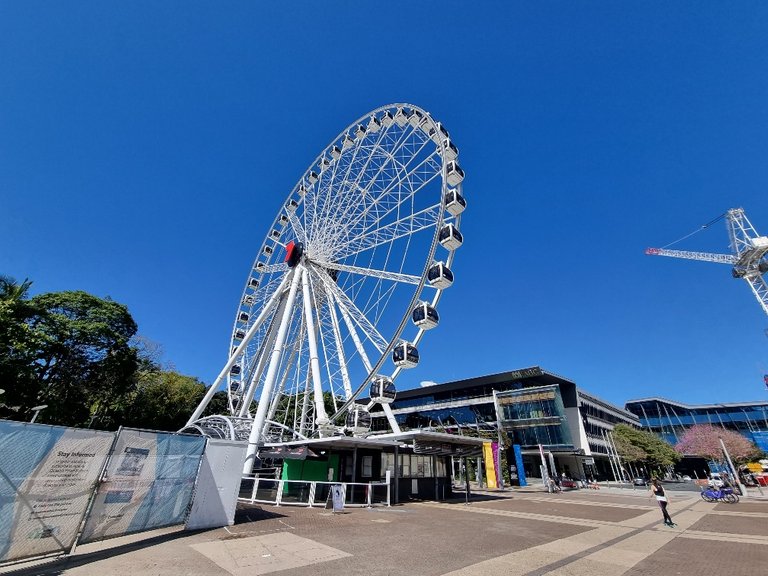 The Observation Wheel of Brisbane.