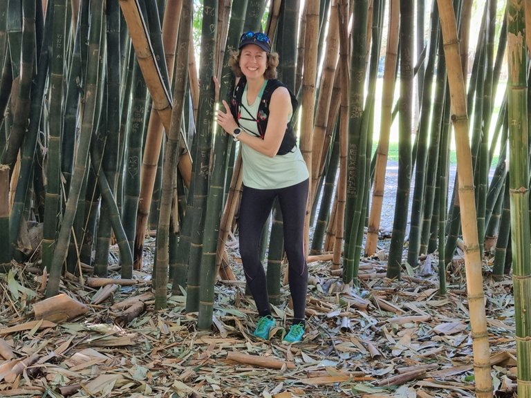 Next we walked straight through the middle of Brisbane City Botanical Gardens