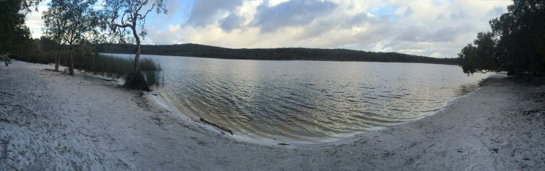 Brown lake.