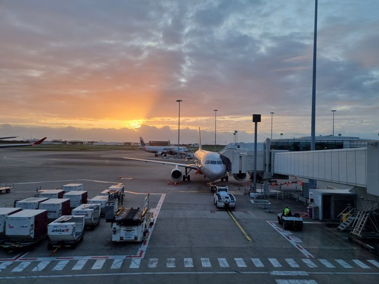 Morning sun rise at the Brisbane domestic airport terminal. We were up early for a weekend trip away. Airfare prices seem to have rocketed up in price recently with steep hike in oil prices and all the extra demand now that covid is less of a hassle. Luckily for us @consciuoscat keeps an eye out for any special offers that are around and we were able to get some cheap return flights.