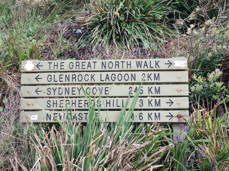 We were still feeling good and thought we could do a little bit more. The track continues and is also part of the Great North walk all 250km of it. We would not have time to do all but we thought we could do a bit more to Glenrock National Park.