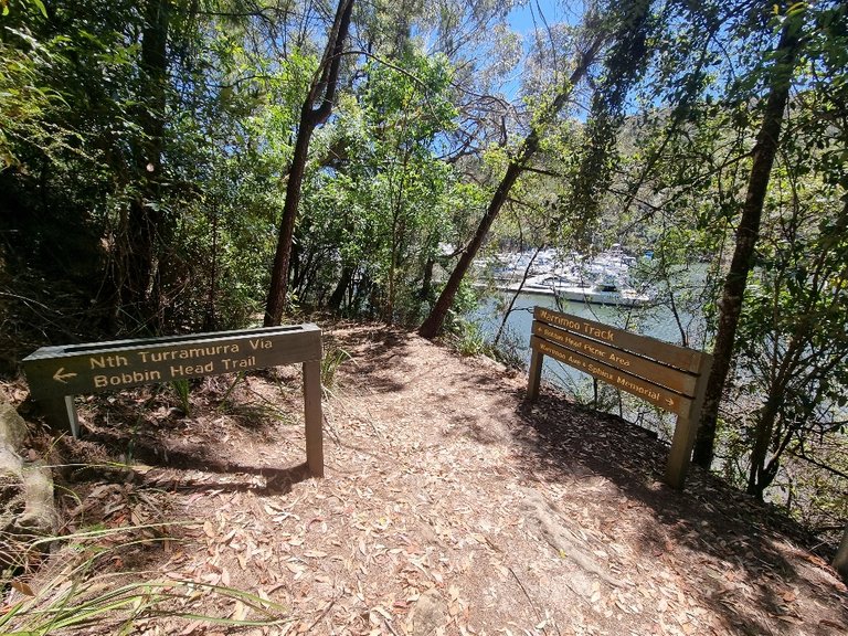 First off we tried part of the Bobbin Head Trail, this trial goes about 6km but we just decided to do a 1 kilometre out and back as it had the best views.