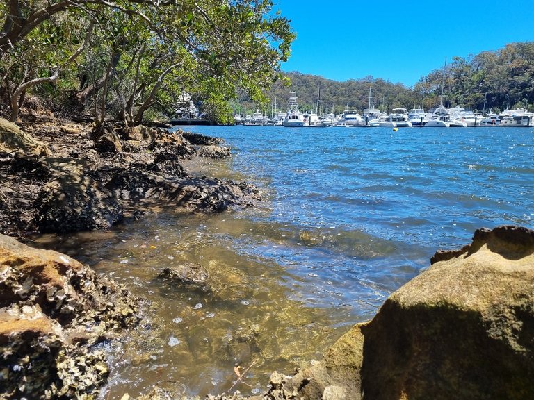 Back down from the lookouts we added another one kilometre walk along the Warrimoo track which hugged along side the Cowan Creek.