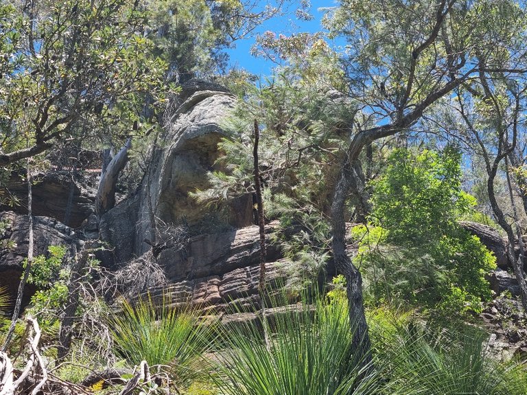 The information board said Aboriginals lived and hunted for thousands of years in this area before escaped convicts and bush rangers hid out in the caves. Eventually they build a road and it became a popular picnic and boating area.