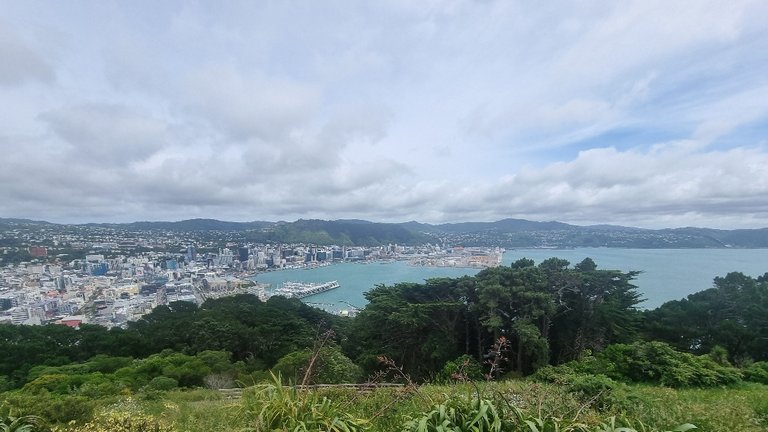 Wellington city from the top of Mount Victoria. Thanks to forkyishere for the lift and tour.