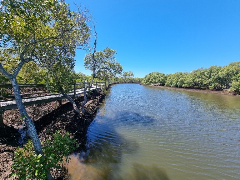 Nudgee Creek