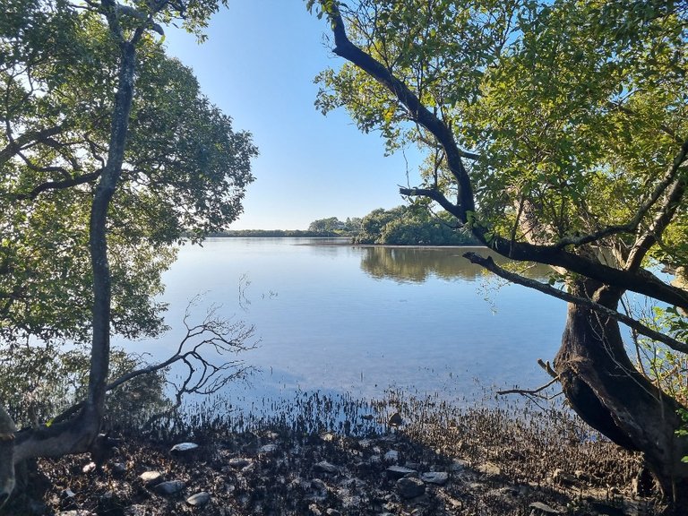 The parkrun course took us right to the southern end of Fig tree point park and the Queen Victoria boat ramp.