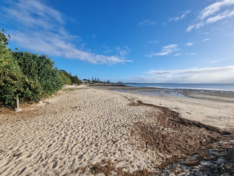 There are quite a lot of mud flats around Brisbane, Any with some sand are a lot more a peeling