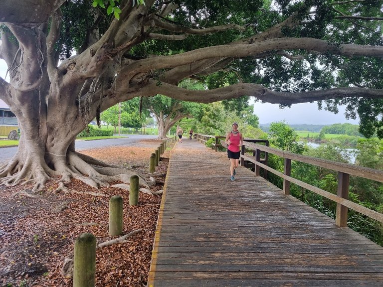 @consciouscat was in front of me for this parkrun as I was walking a fair bit and talking lots of photos.