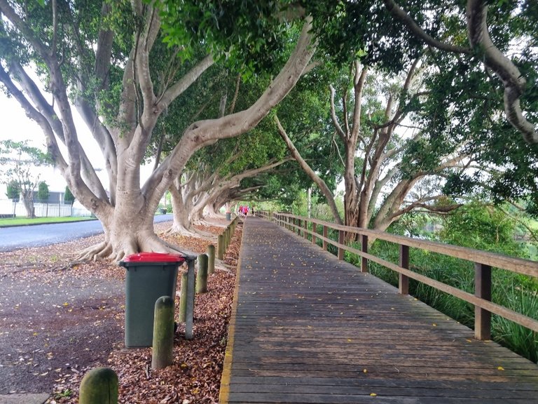 The course was a very pleasant double out and back course along the Hasting River.