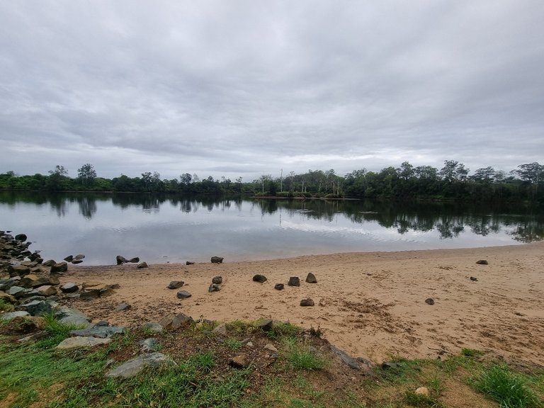 The parkrun started at Rocks Ferry Reserve playground located right on the Hastings River.