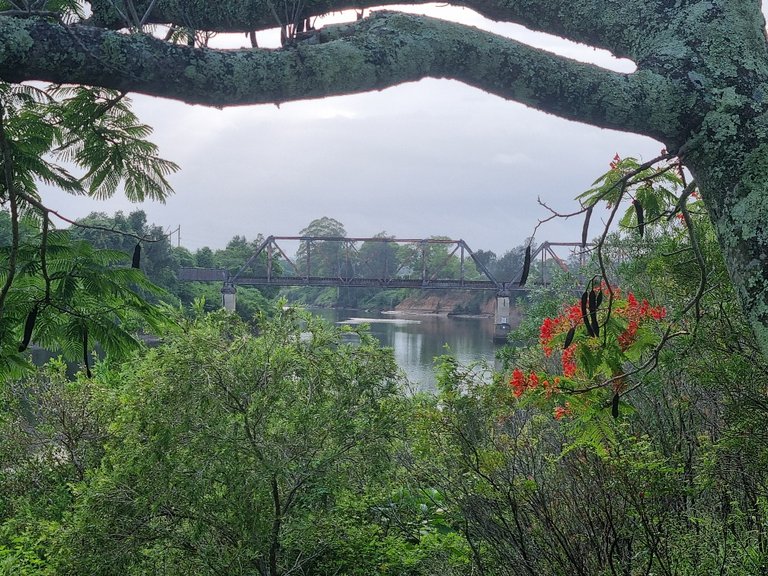 The old rail bridge.