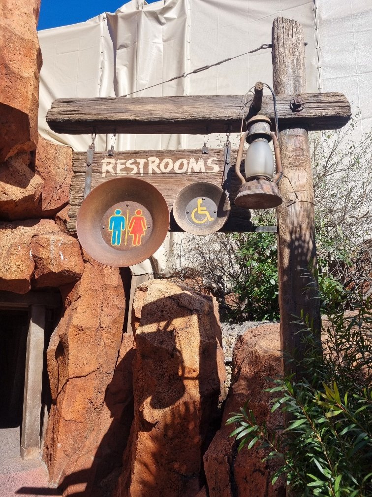 Even the rest rooms were well themed! Thanks for visiting The Wild River Ride at Tokyo Disney.