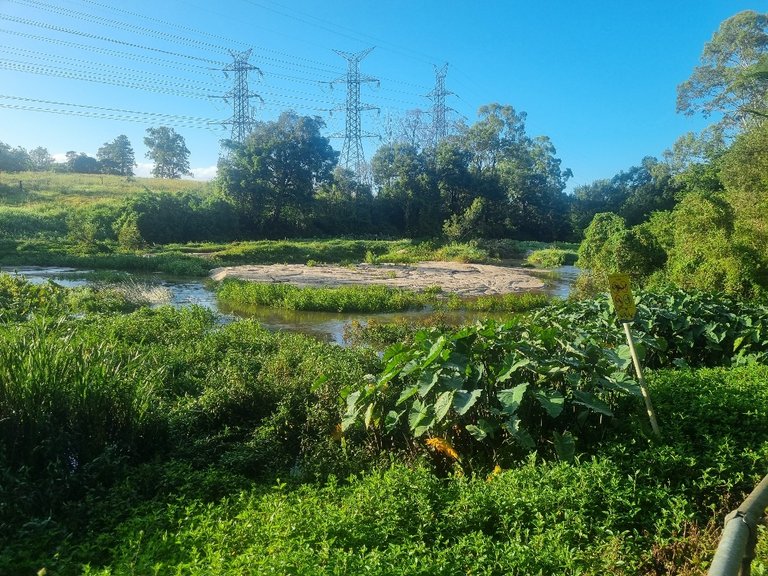 There was a fair bit of water in the Bulimba Creek, I have done this course 3 times now and this was the highest water level I had seen. Usually it is not much more than a trickle.