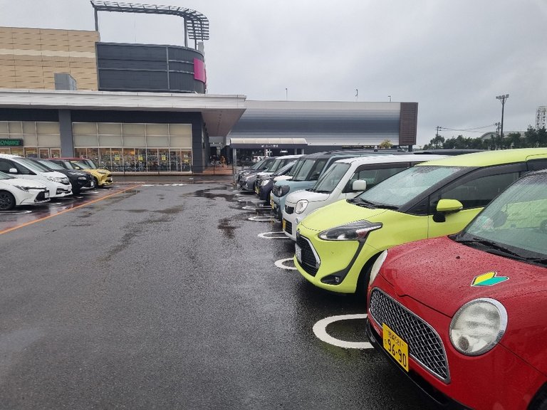 There were lots of different designed smaller cars than what I am used to back home and everyone seems to like reverse parking at the shopping centres.
