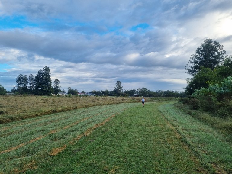 The course was all on mowed grass paddock.