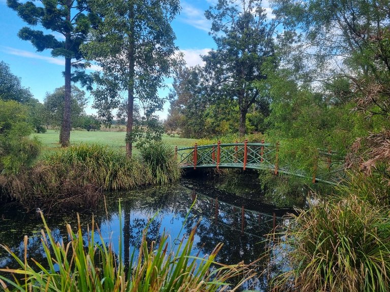 This nice little bridge was closed because of the Flying Fox Colonies that has made it home amongst the trees. I am not sure whether they are being protected from us or us from them.