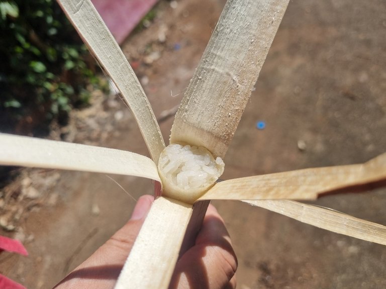 Farm made Sticky rice inside some bamboo.