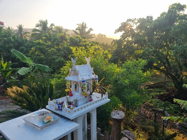 We were lucky enough to stay on a small family farm and there were able to show us around there amazing area. Lots of houses in Thailand have these little spirit temples where offerings are left.