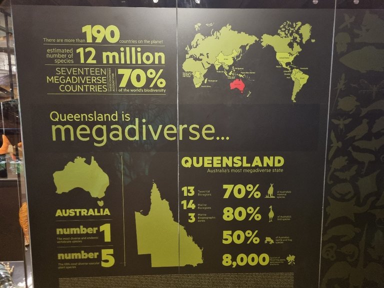 Queensland is Megadiverse! I think it is because of all the untouched rain forest way up in the northern parts.