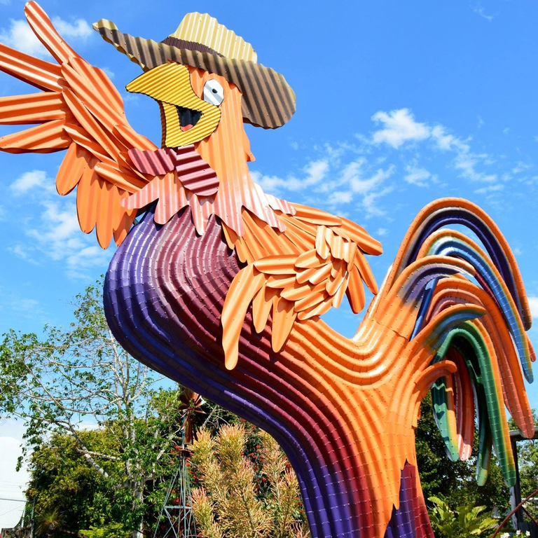 You can not miss where they are located with this colourful corrugated iron rooster out the front. photo credit for this one to Capalaba produce face book advertising. I could not get the right angle or light due to traffic and the time of day.