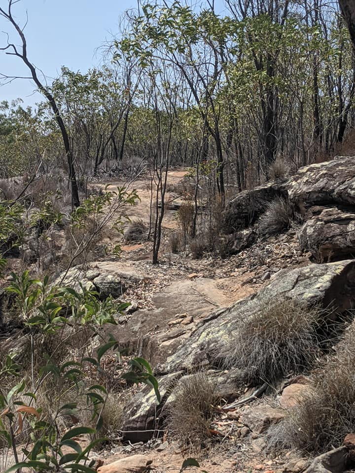 It can get quite warm and dry in the Australian bush always take some water.