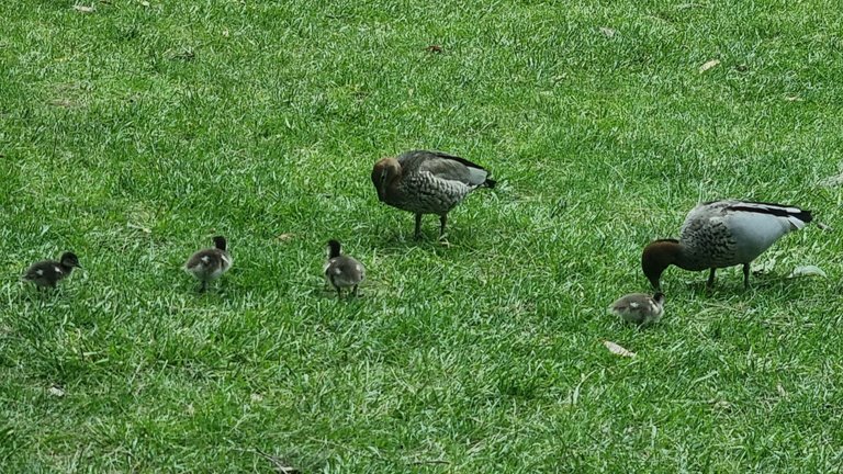 There was plenty of wildlife just hanging about.