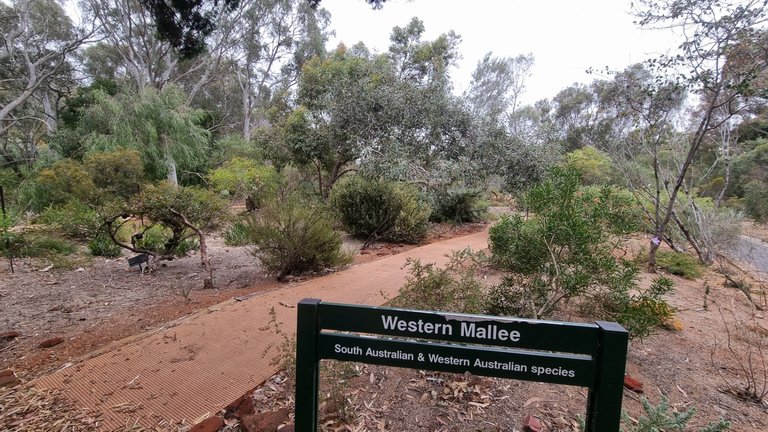 The Gardens were divided up into a different section for each state of Australia