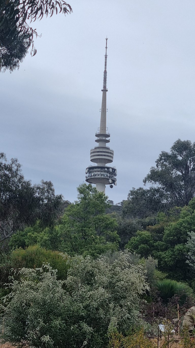 The Telstra Communications tower is a 195 meter tall and has a viewing area part the way up but is currently closed for refurbishment.