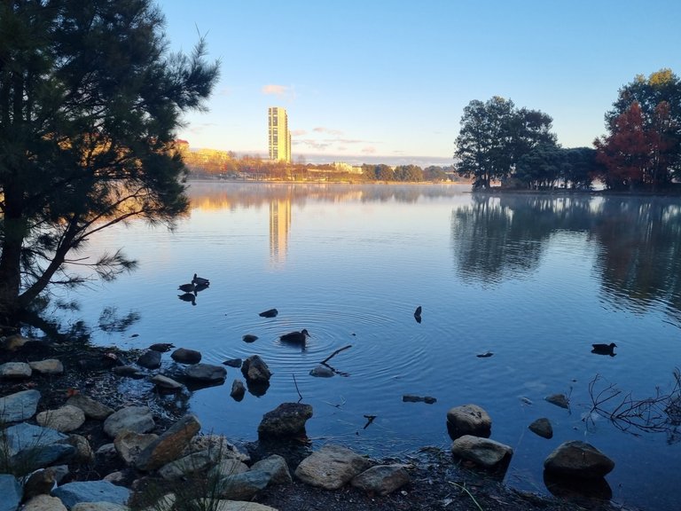 Lake Ginninderra.