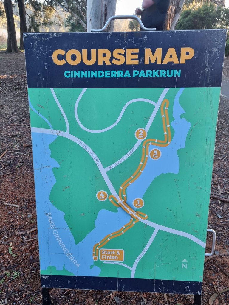 There are nine different parkruns to choose from.