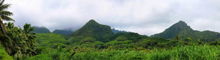 Lush Rarotonga Panorama,  Photo by Bill Fairs on Unsplash