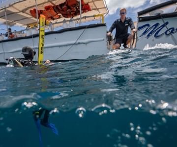 Thumbnail, Background, map and dive photo https://www.heronisland.com/gallery