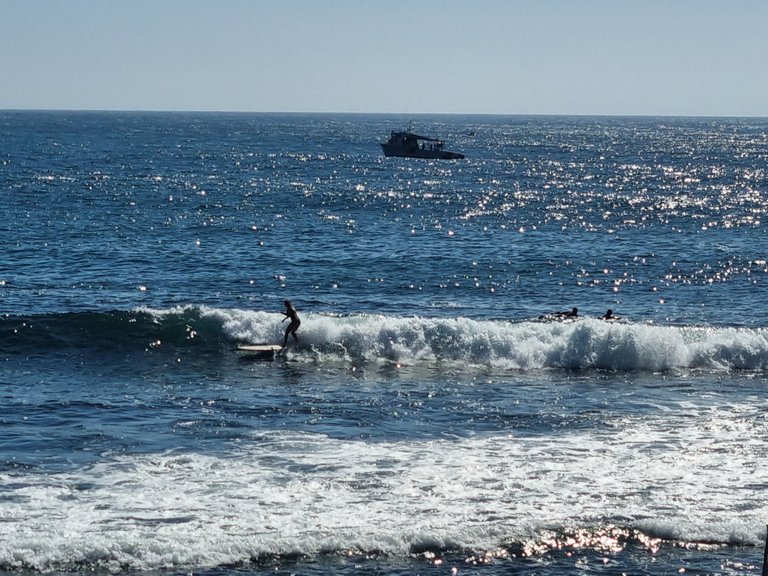 There were quite a few surfers out even though wind seemed to be chopping the swell up a bit.