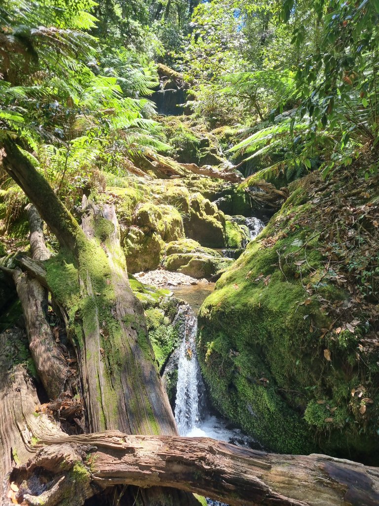 The Mossy Cascades